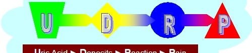 Uric Acid Causes graphic